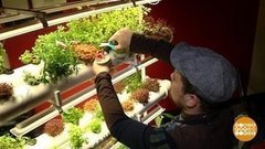 Многоэтажная ферма XXI века. Доброе утро. Фрагмент