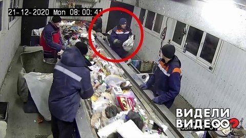 Кот, которого выбросили. Видели видео? Фрагмент