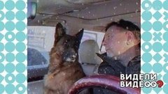 Задушевные посиделки. Видели видео? Фрагмент