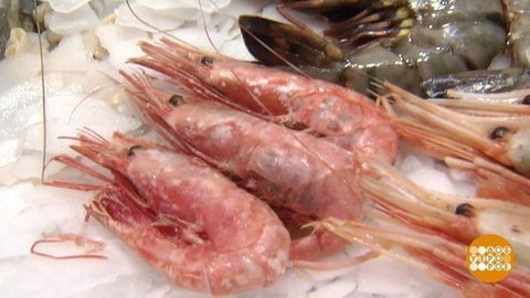Я креветка! Я вкусная! И полезная. Доброе утро. Фрагмент