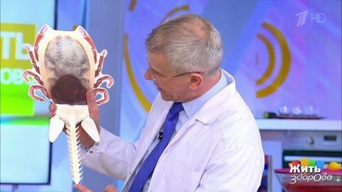 Клещевой энцефалит. Жить здорово! Фрагмент