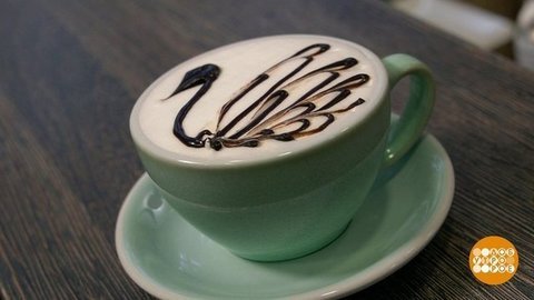 Лучше лебедь в чашке… Доброе утро. Фрагмент