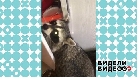 Видели видео? Анонс