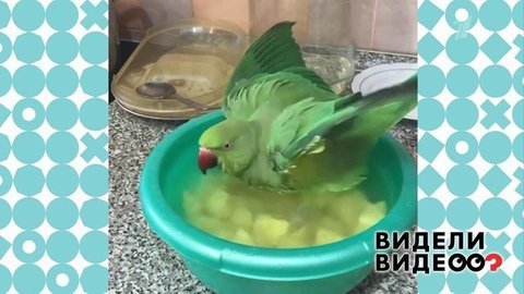 Видели видео? Анонс