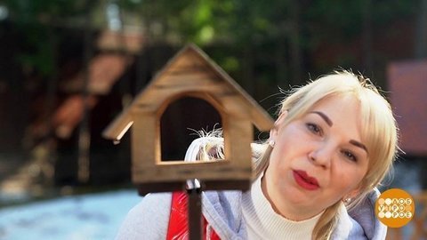 Наводим порядок в саду. Доброе утро. Суббота. Фрагмент