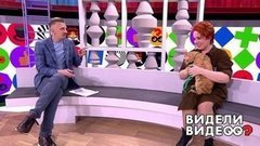 Хозяйственный кот, такса в автомобиле, кот-воришка. Видели видео? Часть 1