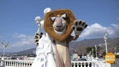 Не работа, а просто курорт? Доброе утро. Фрагмент