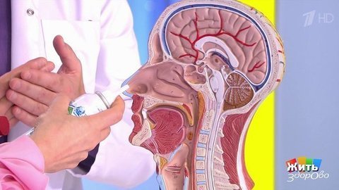 Как вернуть обоняние после коронавируса? Жить здорово! Фрагмент