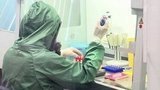 В Еврокомиссии заявили, что не против закупки «Спутника V» Германией