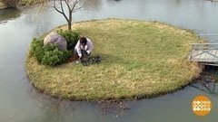 Ревизия дачного цветника. Доброе утро. Фрагмент