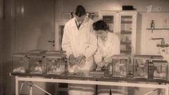 «Наркотики Третьего рейха». Фильм-расследование