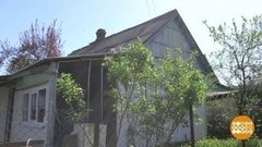 Лето в аренду. Доброе утро. Фрагмент