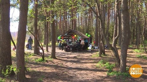 Пикник по всем правилам. Доброе утро. Фрагмент