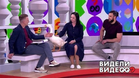 Кот-шпион, чудесное спасение собаки, разговорчивый американский булли. Видели видео? Часть 2