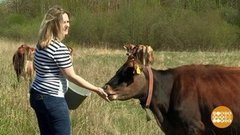 Фермеры. Стильно-модно-молодежно! Доброе утро. Фрагмент