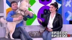 Видели видео? Часть 2