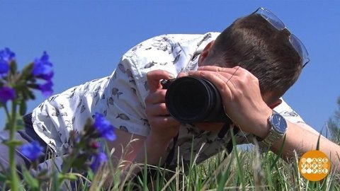 Ты сними, сними меня, фотограф! Доброе утро. Фрагмент