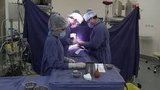 Знаменитый Центр сердечно-сосудистой хирургии имени Бакулева отмечает свое 65-летие