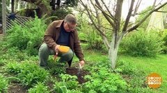 Удобрения. Химия против органики. Доброе утро фрагмент