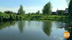 В деревню, в глушь — на отдых! Доброе утро. Фрагмент