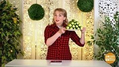 Сажаем огурцы – в бочку. Доброе утро. Суббота. Фрагмент