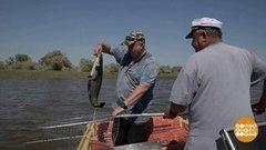 Рыбалка… на кирпич. Доброе утро. Суббота. Фрагмент