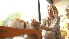 Лето. Каникулы. Первая работа. Доброе утро. Фрагмент