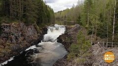 Шесть причин поехать в Карелию. Доброе утро. Фрагмент