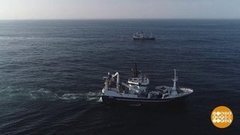 Тайны трех океанов. Доброе утро. Фрагмент