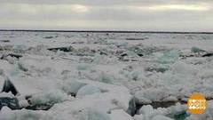 Лед тронулся! Даже в Заполярье. Доброе утро. Фрагмент