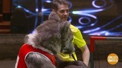 Медведь-предсказатель верит в российскую сборную! Доброе утро. Суббота. Фрагмент