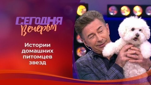 Звездные питомцы. Сегодня вечером