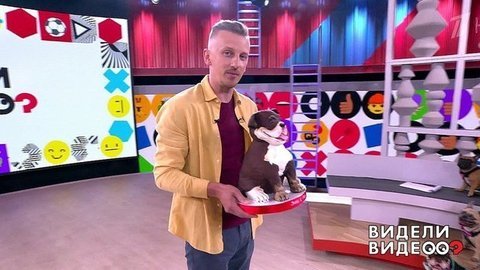 Видели видео? Часть 2