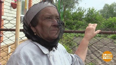 Ваниль — против мошек! Доброе утро. Фрагмент