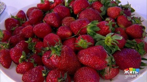 Подмосковная клубника. Жить здорово! Фрагмент