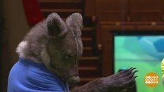 Добрыня Никитич рассудит… Доброе утро. Фрагмент