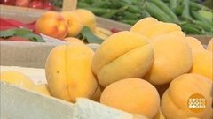 Абрикосовая пора. Доброе утро. Фрагмент