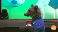 Финал Евро близко: прогноз от Добрыни Никитича. Доброе утро. Фрагмент