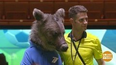 Евро-2020. Медведь-предсказатель — в финале! Доброе утро. Фрагмент