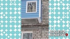 Как усовершенствовать балкон. Видели видео? Фрагмент