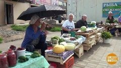 Сами вырастили — сами продаем! Доброе утро. Фрагмент