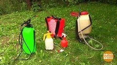 Головомойка для растений. Доброе утро. Фрагмент