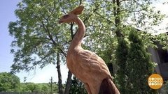 Жар-птица, Леший и другие. Доброе утро. Фрагмент