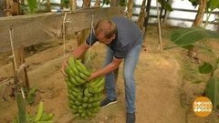 Что выросло, то выросло! Доброе утро. Фрагмент