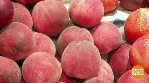Нектарины или персики? Доброе утро. Фрагмент