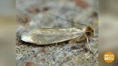 Экскурсия в... шкаф. Доброе утро. Фрагмент