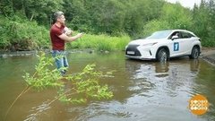 Не зная броду… Доброе утро. Фрагмент