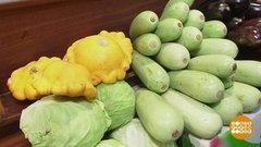 Кабачки и патиссоны: при чем тут тыква? Доброе утро. Фрагмент
