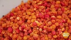 Морошка — царская ягода. Доброе утро. Фрагмент