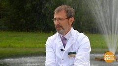 Детокс: уборка для организма. Доброе утро. Суббота. Фрагмент